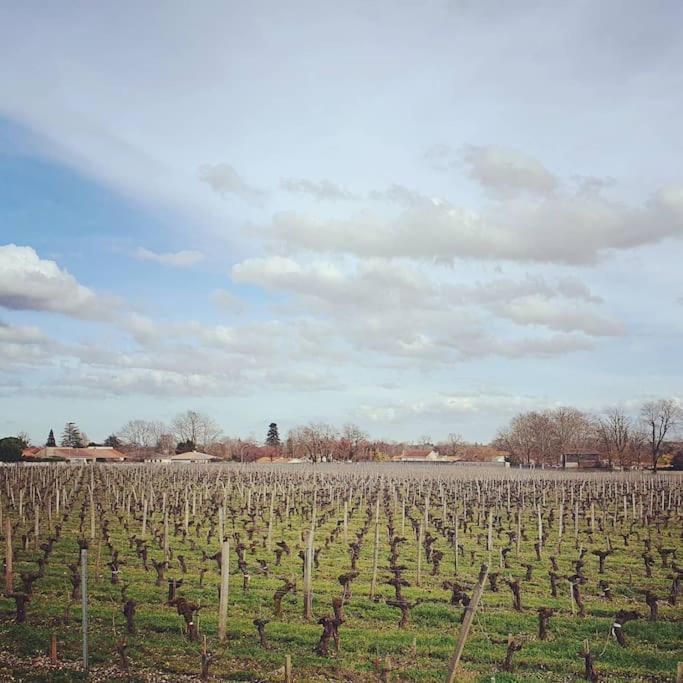 Le Clos Langella Villa Leognan Luaran gambar